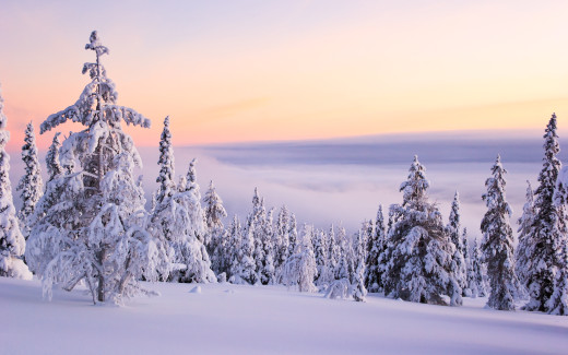 532488 (a): :2560x1600